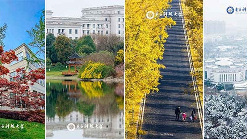 多层线路板层数选择：揭秘背后的关键因素**